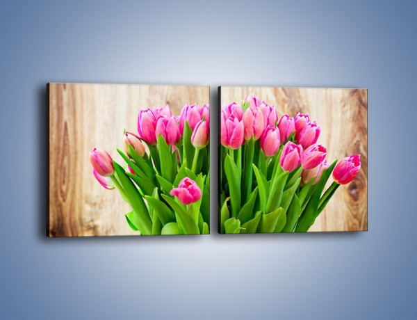 Obraz na płótnie – Różowe tulipany na drewnianym stole – dwuczęściowy kwadratowy poziomy K937
