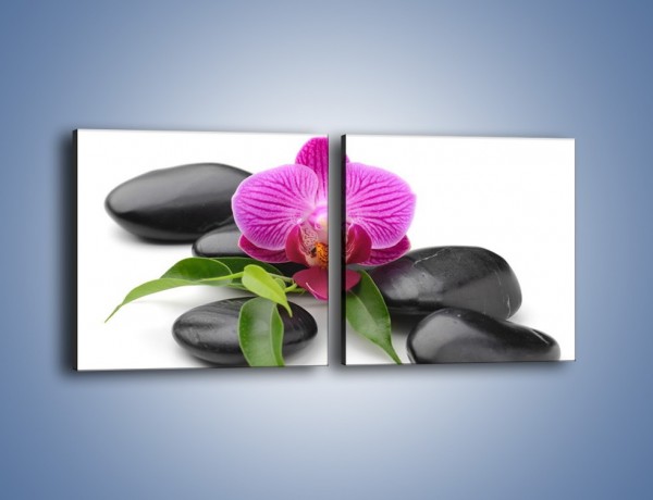 Obraz na płótnie – Kwiat i jego liście – dwuczęściowy kwadratowy poziomy K941