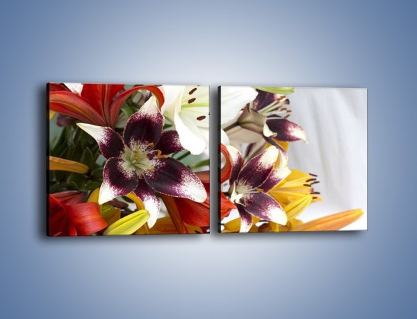 Obraz na płótnie – Wiązanka z samych lilii – dwuczęściowy kwadratowy poziomy K945