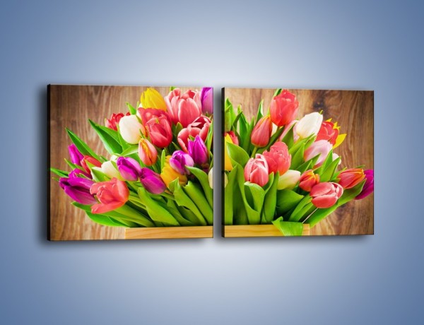 Obraz na płótnie – Skrzynia w tulipanach – dwuczęściowy kwadratowy poziomy K955