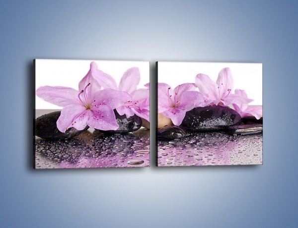 Obraz na płótnie – Lila kwiaty w mokrym klimacie – dwuczęściowy kwadratowy poziomy K957