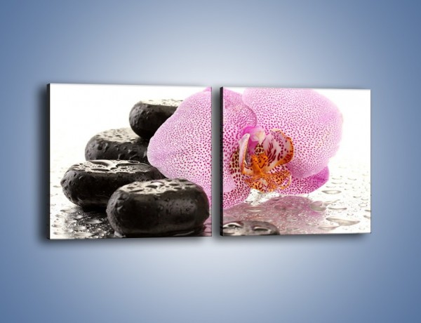 Obraz na płótnie – Kwiat otoczony kamieniami – dwuczęściowy kwadratowy poziomy K967