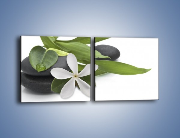 Obraz na płótnie – Artystyczna kompozycja z kwiatem – dwuczęściowy kwadratowy poziomy K968