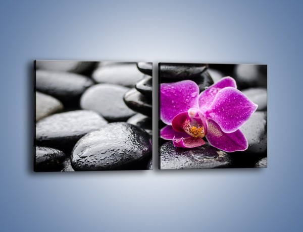 Obraz na płótnie – Malutki kwiatek i morze kamieni – dwuczęściowy kwadratowy poziomy K983