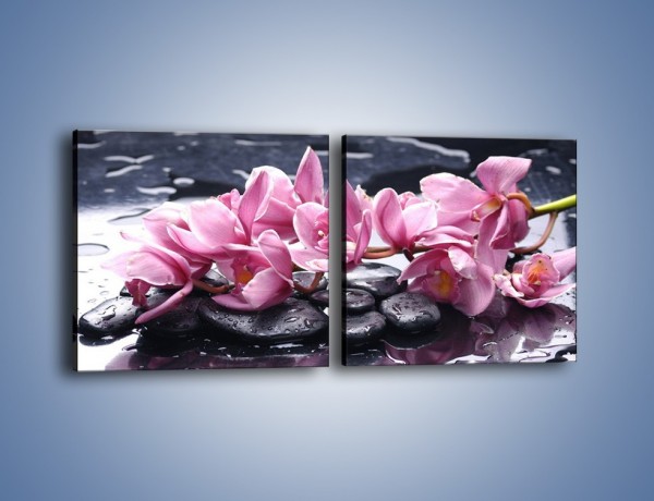 Obraz na płótnie – Rzucone kwiaty na wodę – dwuczęściowy kwadratowy poziomy K997