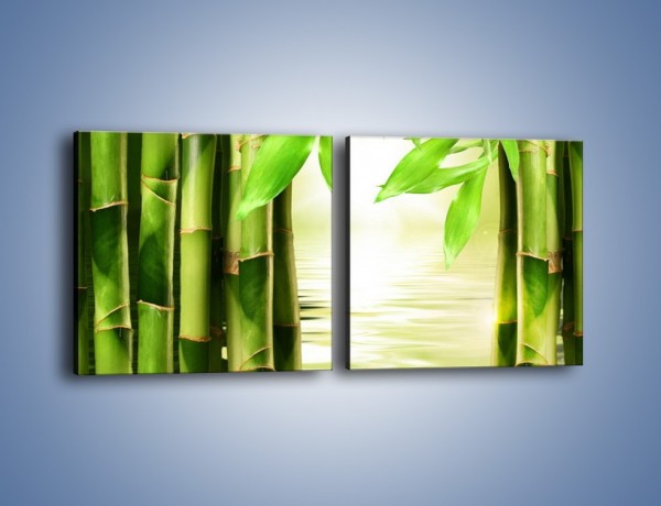 Obraz na płótnie – Bambusowe liście i łodygi – dwuczęściowy kwadratowy poziomy KN027