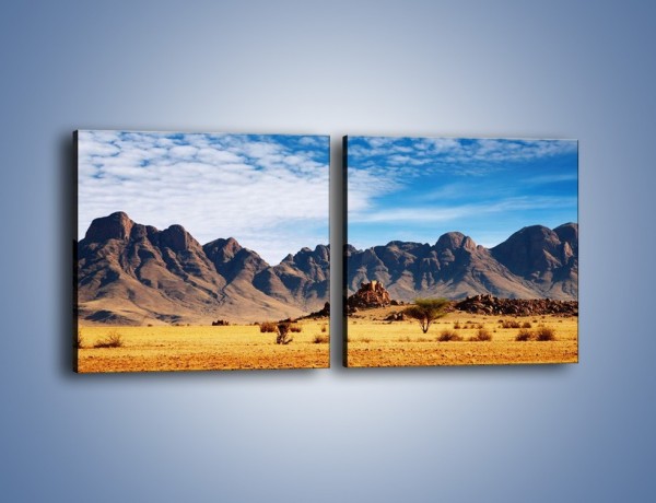 Obraz na płótnie – Góry w pustynnym krajobrazie – dwuczęściowy kwadratowy poziomy KN030