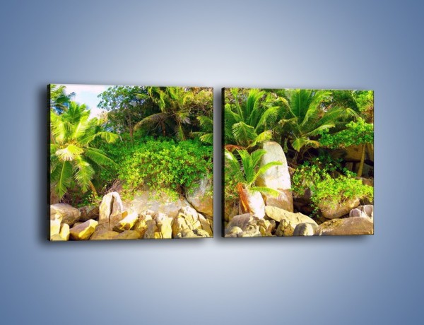 Obraz na płótnie – Ściana tropikalnych drzew – dwuczęściowy kwadratowy poziomy KN086