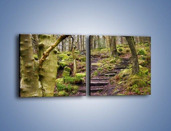 Obraz na płótnie – Schodkami przez las – dwuczęściowy kwadratowy poziomy KN1054