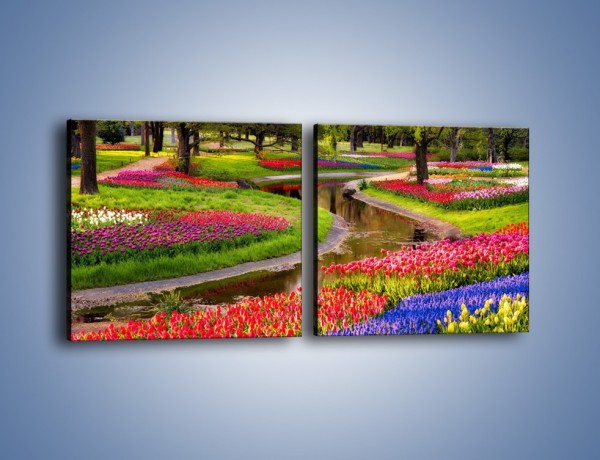 Obraz na płótnie – Aleje kolorowych tulipanów – dwuczęściowy kwadratowy poziomy KN1079