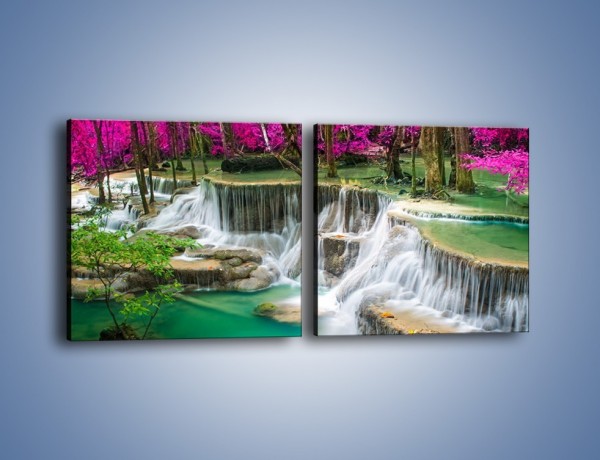 Obraz na płótnie – Purpurowy las i wodospad – dwuczęściowy kwadratowy poziomy KN1099