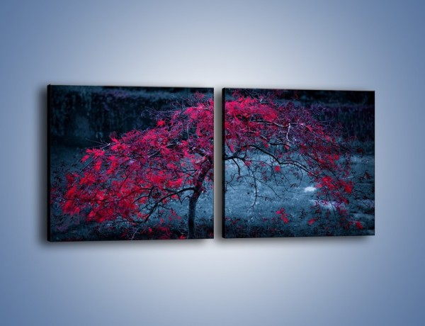 Obraz na płótnie – Czerwone płaczące drzewo – dwuczęściowy kwadratowy poziomy KN1101A