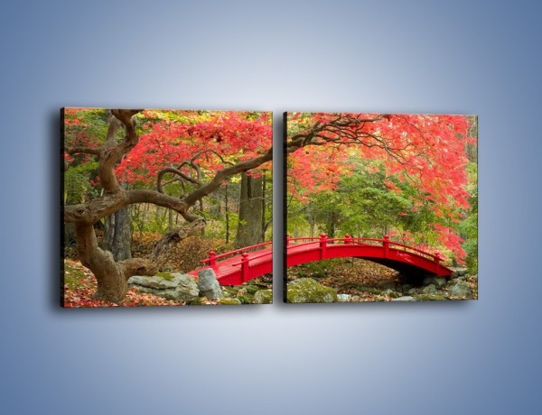 Obraz na płótnie – Czerwony most czy czerwone drzewo – dwuczęściowy kwadratowy poziomy KN1122A
