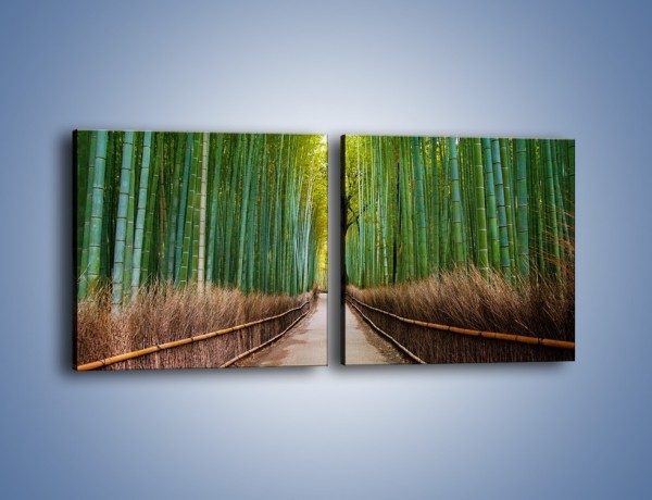 Obraz na płótnie – Bambusowy las – dwuczęściowy kwadratowy poziomy KN1187A