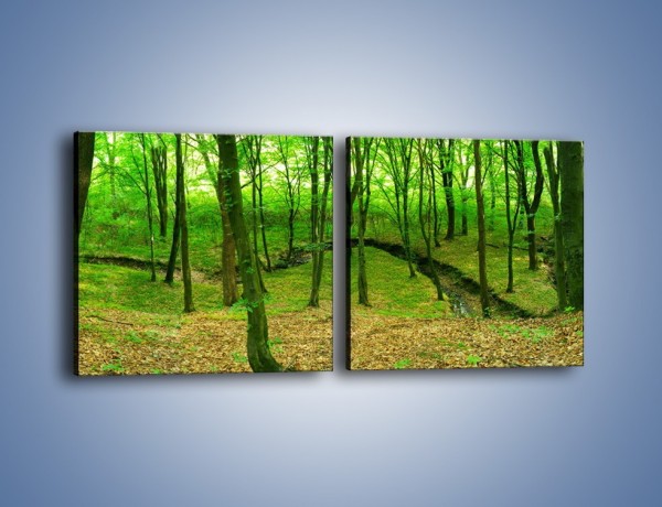 Obraz na płótnie – Wąskie spojrzenie na las – dwuczęściowy kwadratowy poziomy KN1264A