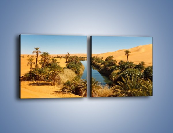 Obraz na płótnie – Woda woda na pustyni – dwuczęściowy kwadratowy poziomy KN1294A