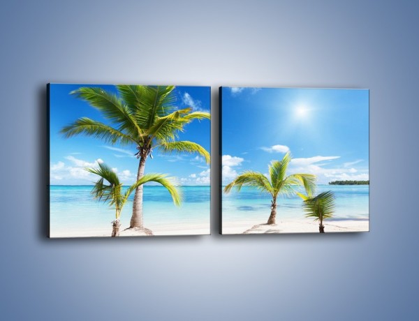 Obraz na płótnie – Palmy na pustej plaży – dwuczęściowy kwadratowy poziomy KN245