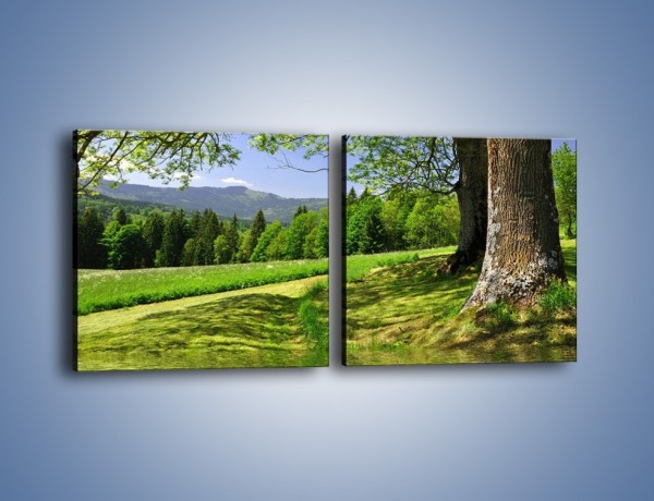 Obraz na płótnie – Krajobraz pełen wiosennego spokoju – dwuczęściowy kwadratowy poziomy KN280