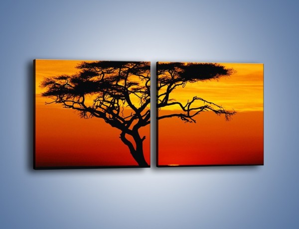Obraz na płótnie – Zachód słońca i drzewo – dwuczęściowy kwadratowy poziomy KN307