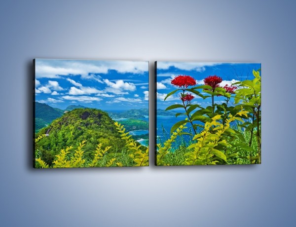 Obraz na płótnie – Bordowe kwiaty w górskim krajobrazie – dwuczęściowy kwadratowy poziomy KN561