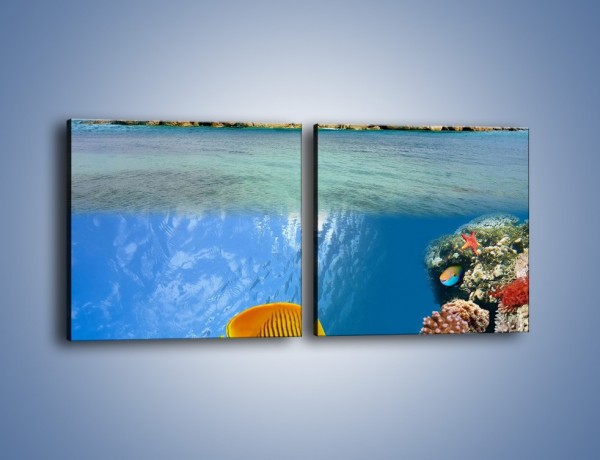 Obraz na płótnie – Podwodny świat na wyspie – dwuczęściowy kwadratowy poziomy KN586