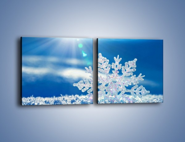 Obraz na płótnie – Diamentowa śnieżynka – dwuczęściowy kwadratowy poziomy KN808