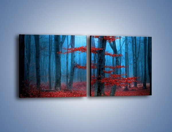 Obraz na płótnie – Czerwień w lesie – dwuczęściowy kwadratowy poziomy KN897