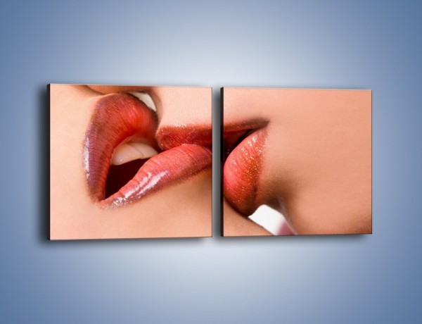 Obraz na płótnie – Krwisty pocałunek – dwuczęściowy kwadratowy poziomy L111