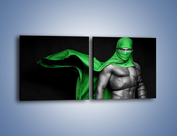 Obraz na płótnie – Zielony ninja – dwuczęściowy kwadratowy poziomy L245
