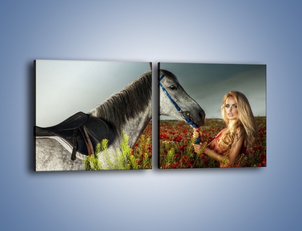 Obraz na płótnie – Kobieta koń i polana maków – dwuczęściowy kwadratowy poziomy L333