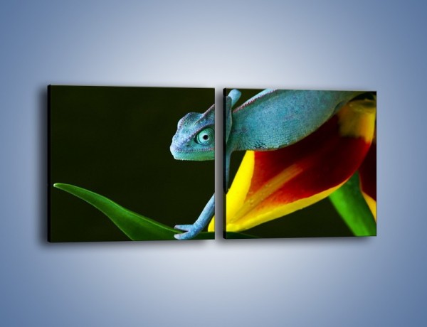 Obraz na płótnie – Liść w łapce kameleona – dwuczęściowy kwadratowy poziomy Z005