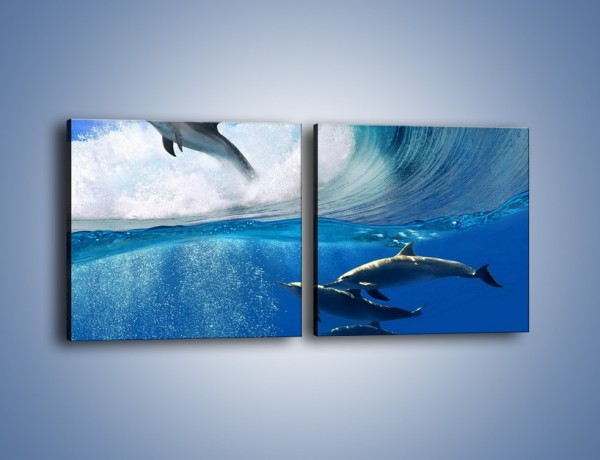 Obraz na płótnie – Z delfinami przez falę – dwuczęściowy kwadratowy poziomy Z073