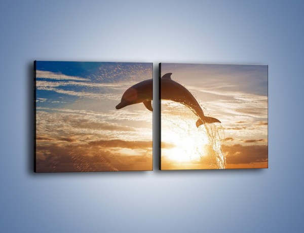 Obraz na płótnie – Z delfinem do nieba – dwuczęściowy kwadratowy poziomy Z074