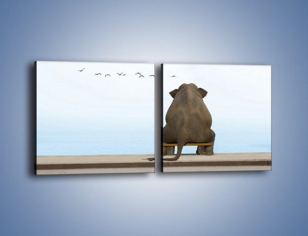 Obraz na płótnie – Przemyślenia słonia w samotności – dwuczęściowy kwadratowy poziomy Z120