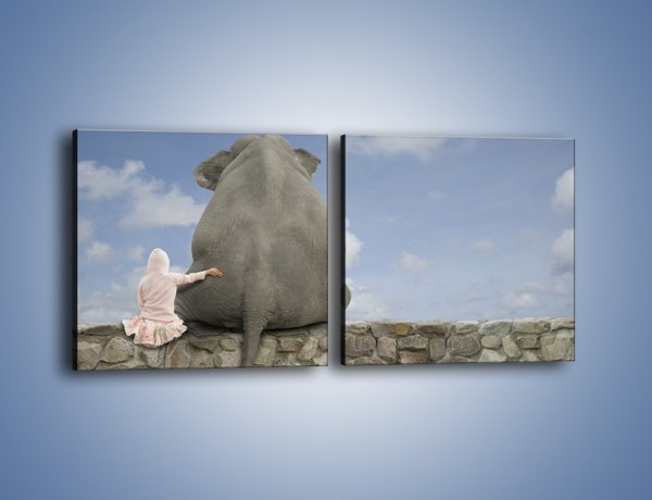 Obraz na płótnie – Przyjaźń ze słoniem na zawsze – dwuczęściowy kwadratowy poziomy Z121