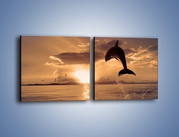 Obraz na płótnie – Z delfinem w stronę zachodzącego słońca – dwuczęściowy kwadratowy poziomy Z170