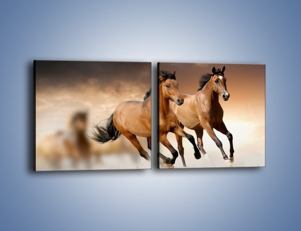 Obraz na płótnie – Uciec na koniu przed burzą – dwuczęściowy kwadratowy poziomy Z180