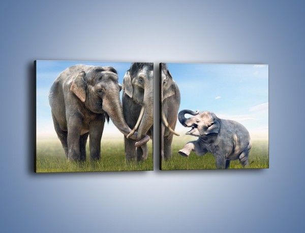 Obraz na płótnie – Przebij łapę ze słoniątkiem – dwuczęściowy kwadratowy poziomy Z208