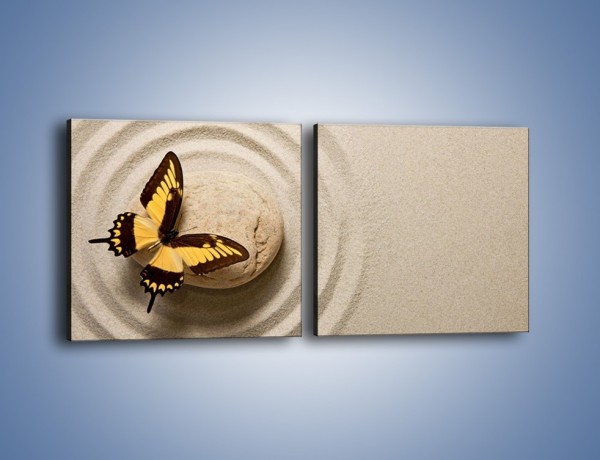 Obraz na płótnie – Samotność motyla – dwuczęściowy kwadratowy poziomy Z223