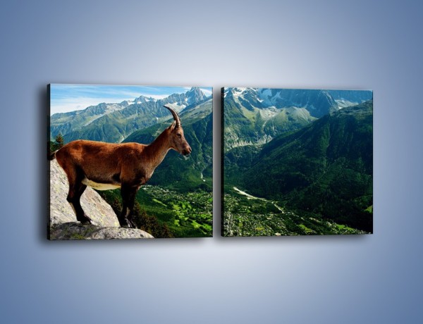 Obraz na płótnie – Kozica w górskiej panoramie – dwuczęściowy kwadratowy poziomy Z260