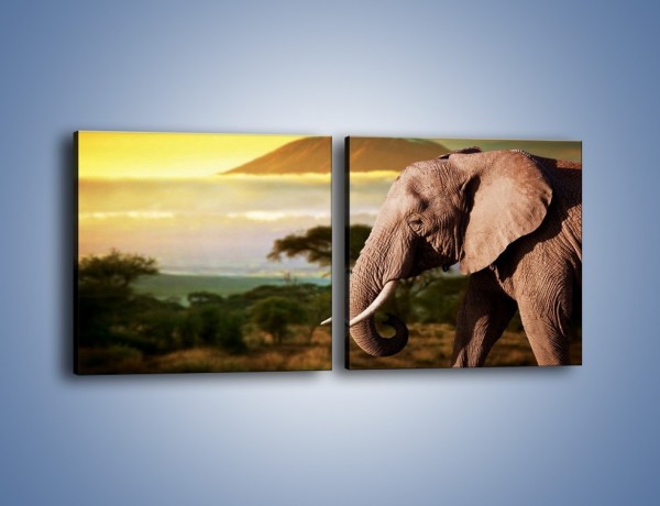Obraz na płótnie – Smutek w oczach słonia – dwuczęściowy kwadratowy poziomy Z275