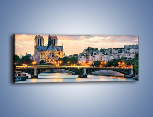 Obraz na płótnie – Katedra Notre Dame – jednoczęściowy panoramiczny AM454