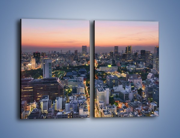 Obraz na płótnie – Tokyo o poranku – dwuczęściowy prostokątny pionowy AM633