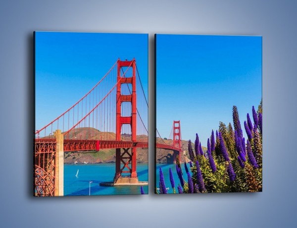 Obraz na płótnie – Golden Gate pod błękitnym niebem – dwuczęściowy prostokątny pionowy AM644
