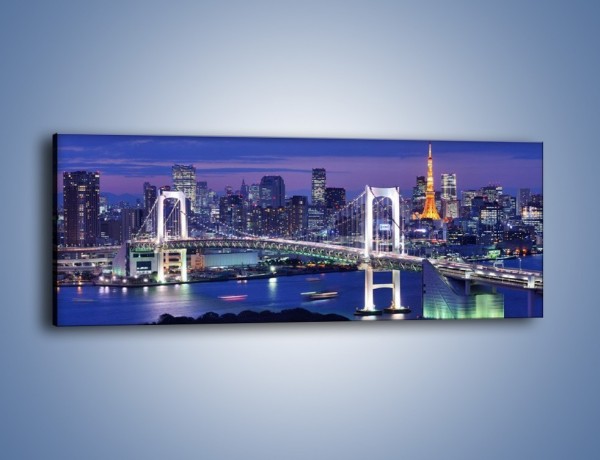Obraz na płótnie – Tęczowy Most w Tokyo – jednoczęściowy panoramiczny AM460
