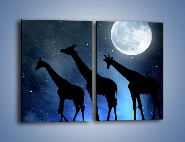 Obraz na płótnie – Żyrafie trio nocą – dwuczęściowy prostokątny pionowy GR316