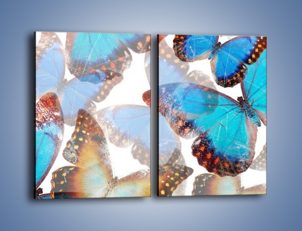 Obraz na płótnie – Motyl w niebieskim kolorze – dwuczęściowy prostokątny pionowy GR403