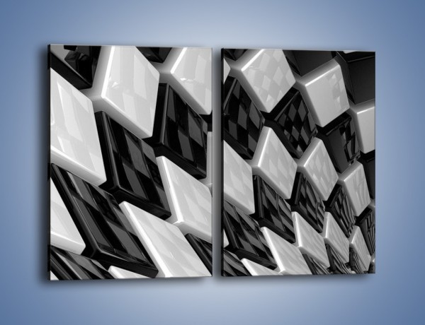 Obraz na płótnie – Czarne czy białe – dwuczęściowy prostokątny pionowy GR425