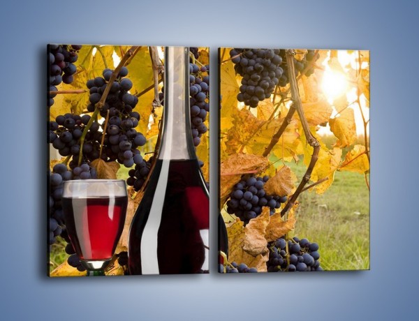 Obraz na płótnie – Wino wśród winogron – dwuczęściowy prostokątny pionowy JN007