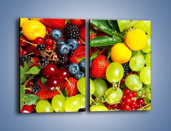 Obraz na płótnie – Wymieszane kolorowe owoce – dwuczęściowy prostokątny pionowy JN037